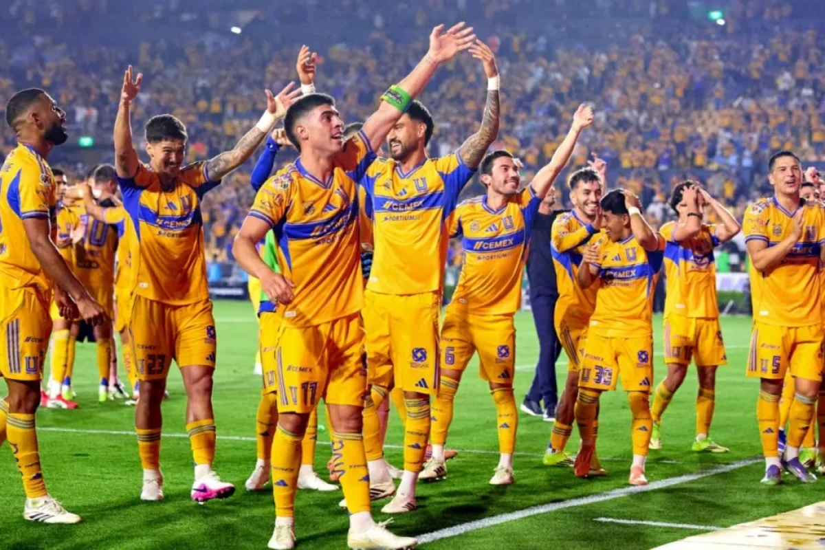 tigres_.jpg_1909828379